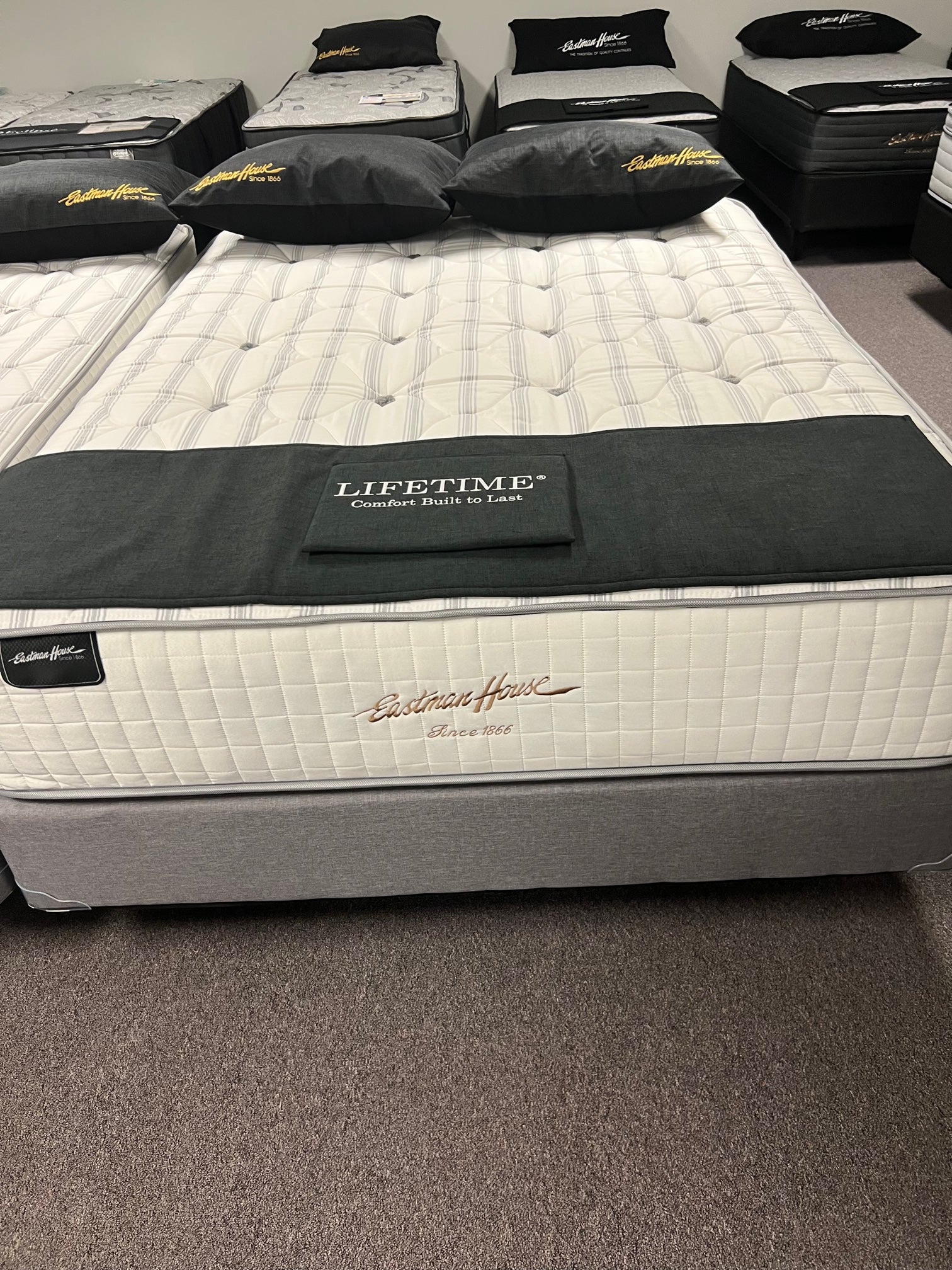 Lifetime Permatuft Firm Mattress - Dan Dan The Mattress Man (Midland, MI)