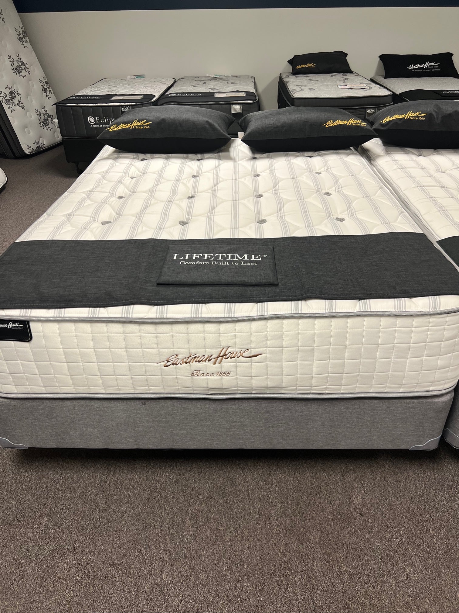 Lifetime Permatuft Plush Mattress - Dan Dan The Mattress Man (Midland, MI)