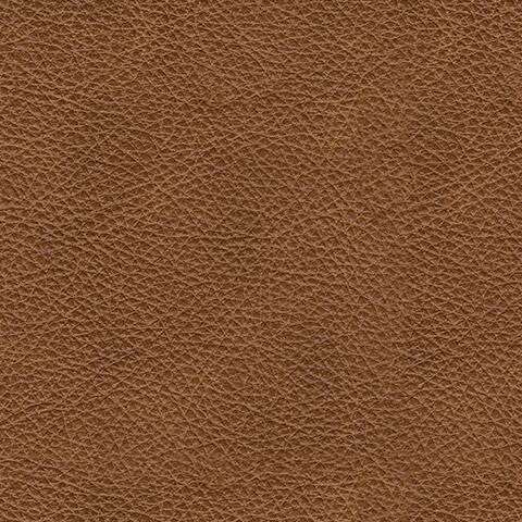 Carianna Sofa - Dan Dan The Mattress Man (Midland, MI)