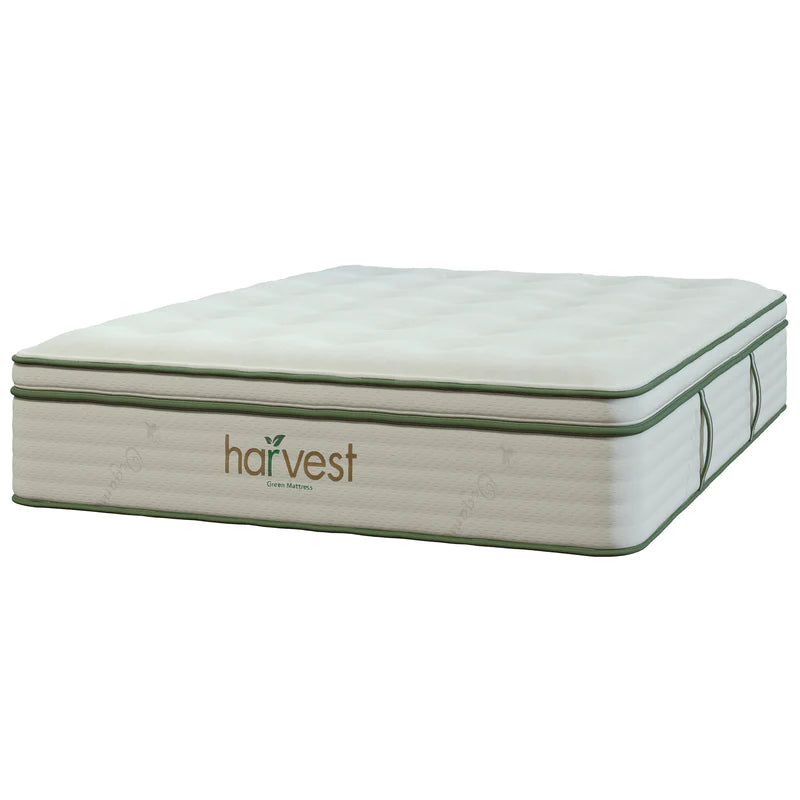 Harvest Pillow Top Mattress - Dan Dan The Mattress Man (Midland, MI)