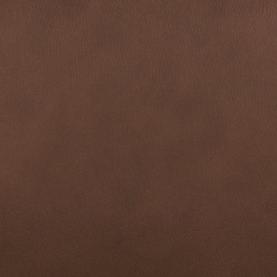 Pincara Power AutoGlide Recliner - Dan Dan The Mattress Man (Midland, MI)